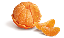 Mandarins